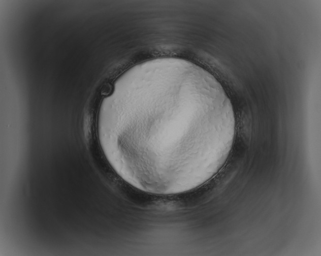 X0000100910742200807151138