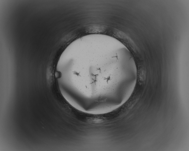 X0000100910743200807151138