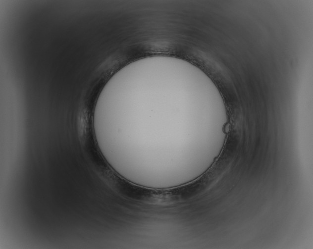 X0000100910744200807151138