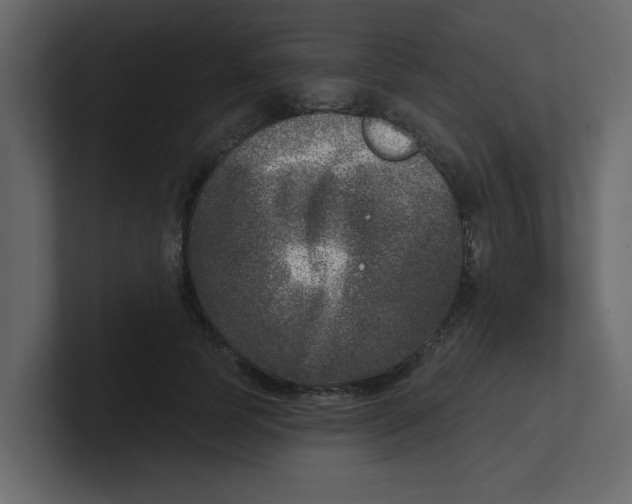 X0000100910745200807151138