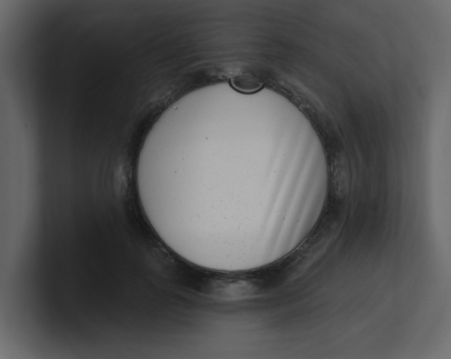 X0000100910747200807151138