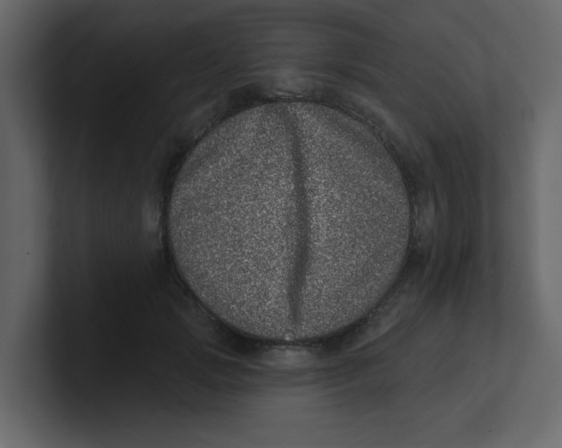 X0000100910749200807151138