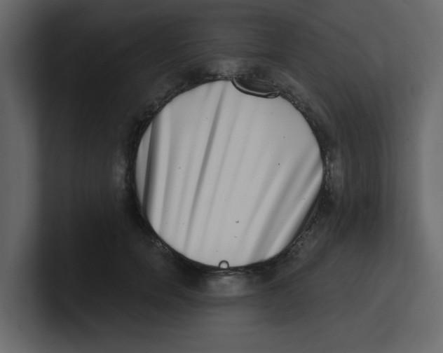 X0000100910750200807151138