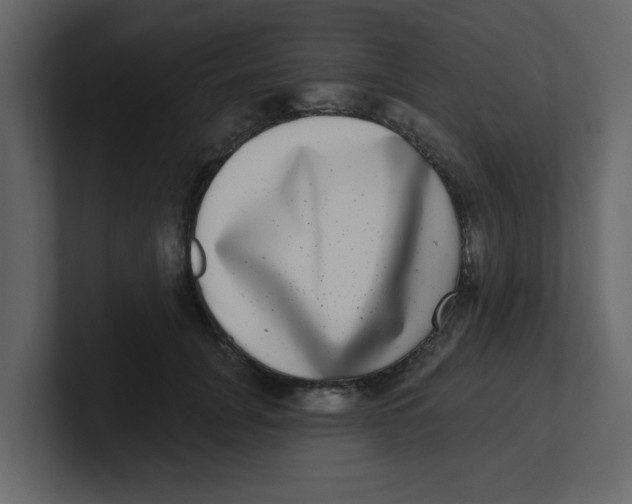 X0000100910751200807151138