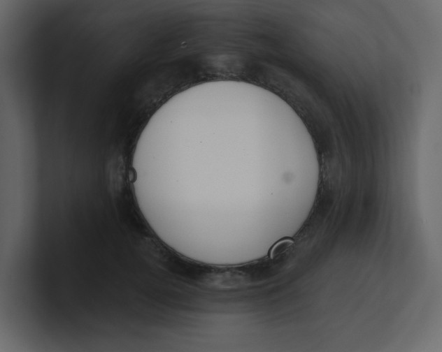 X0000100910752200807151138