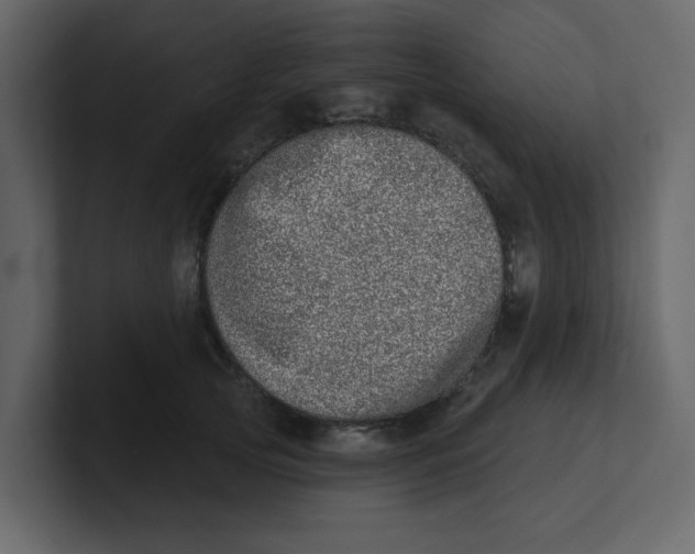 X0000100910753200807151138