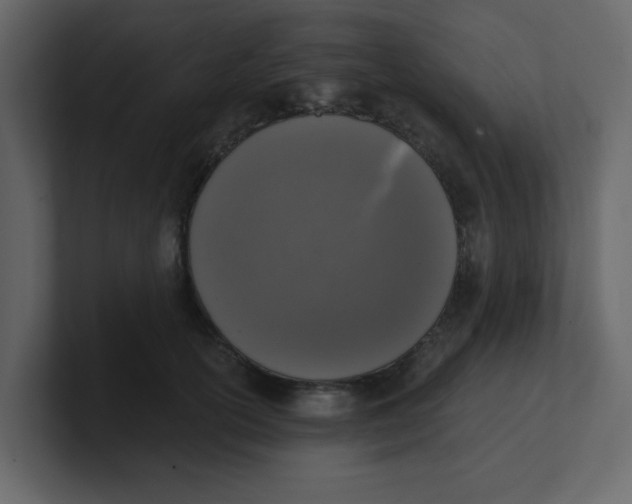 X0000100910754200807151138