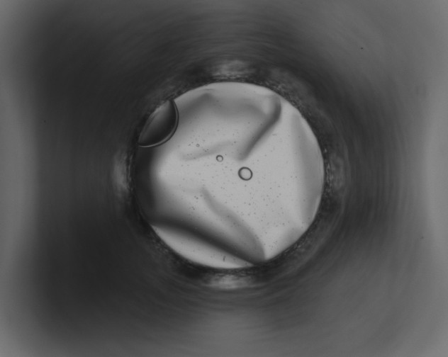 X0000100910755200807151138