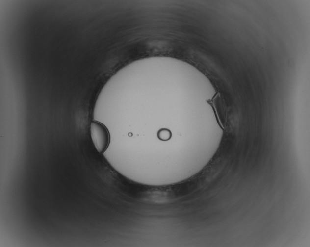 X0000100910756200807151138