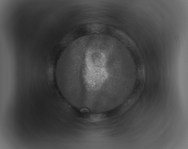 X0000100910757200807151138