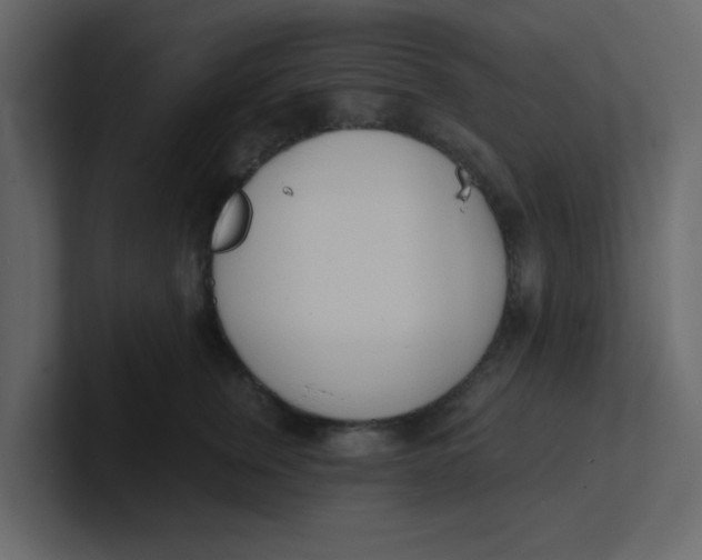 X0000100910759200807151138