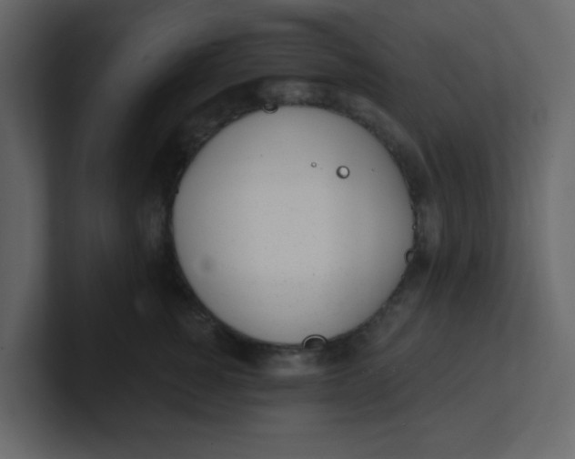 X0000100910760200807151138