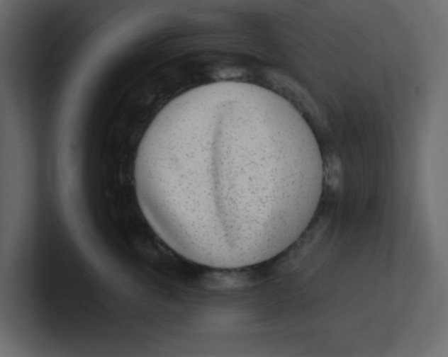 X0000100910763200807151138