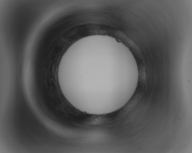 X0000100910764200807151138