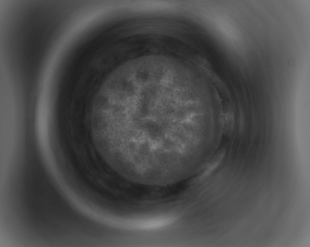 X0000100910765200807151138