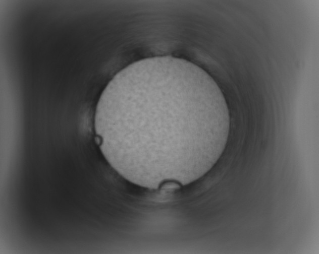 X0000100910768200807151139