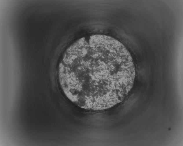 X0000100910769200807151138