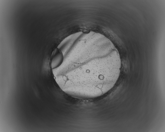 X0000100910770200807151138