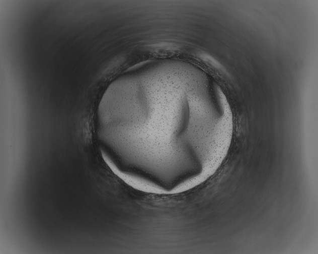 X0000100910774200807151138