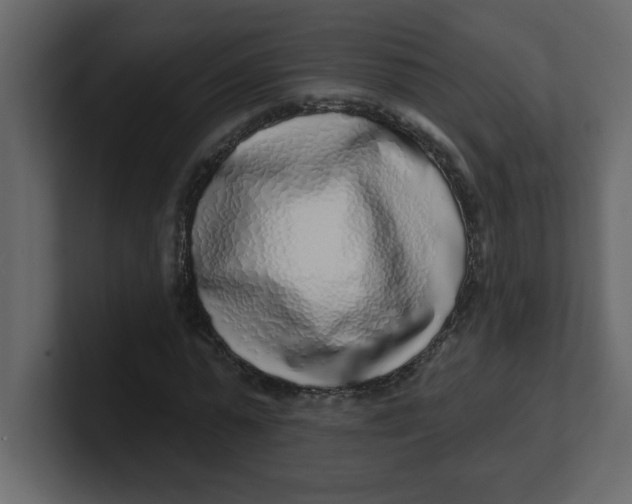 X0000100910775200807151138