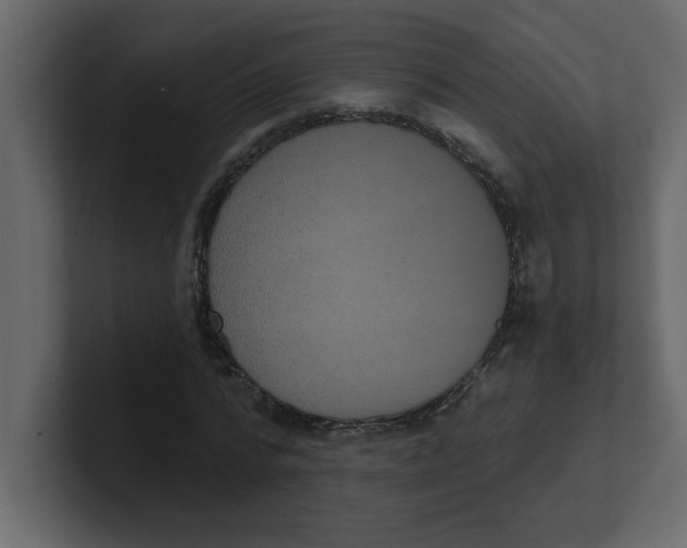 X0000100910776200807151138