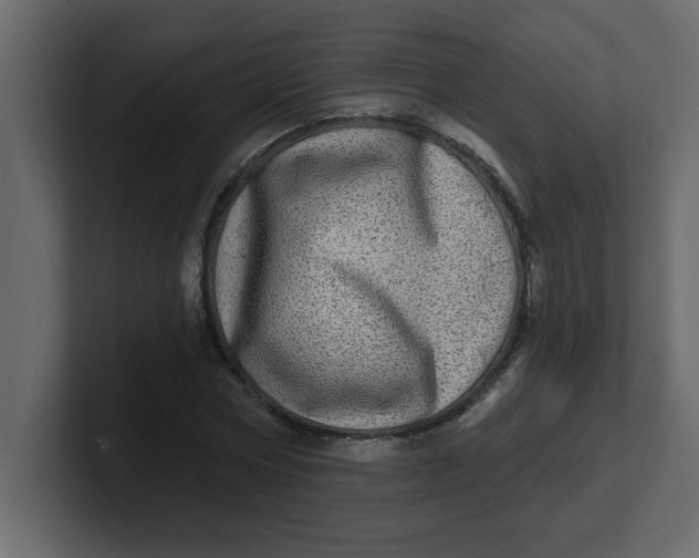 X0000100910778200807151138