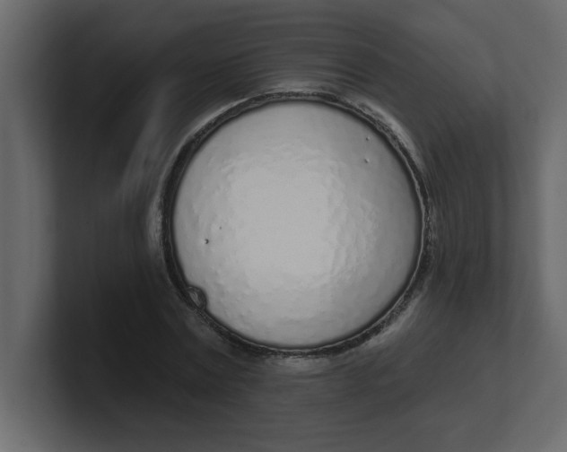 X0000100910779200807151138