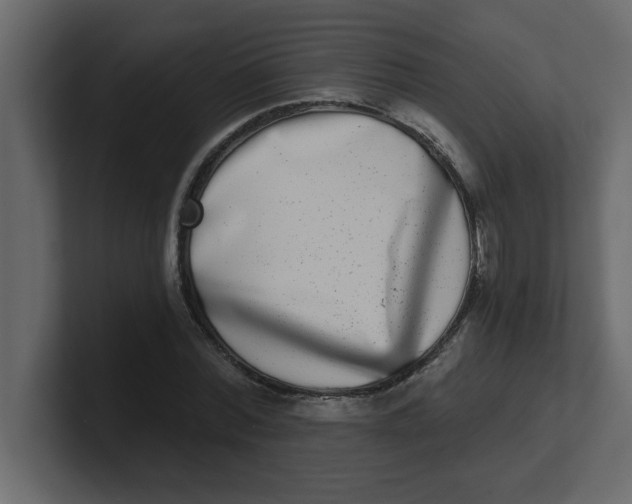 X0000100910780200807151138