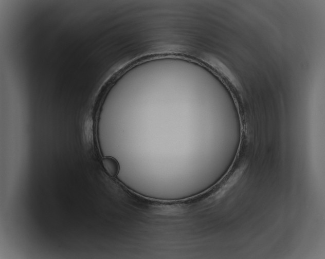 X0000100910781200807151138