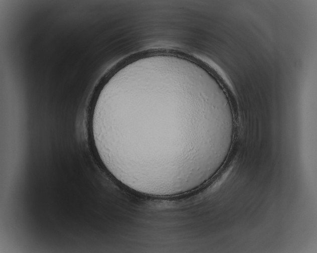 X0000100910783200807151138