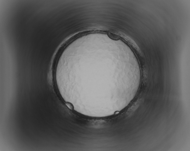 X0000100910784200807151138