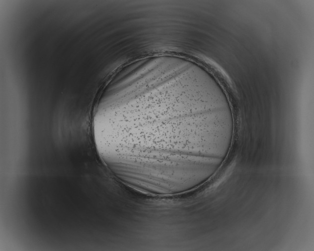 X0000100910785200807151138