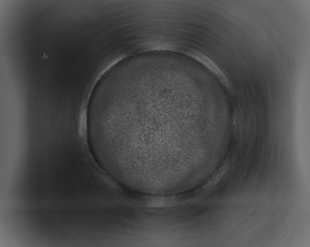 X0000100910790200807151138