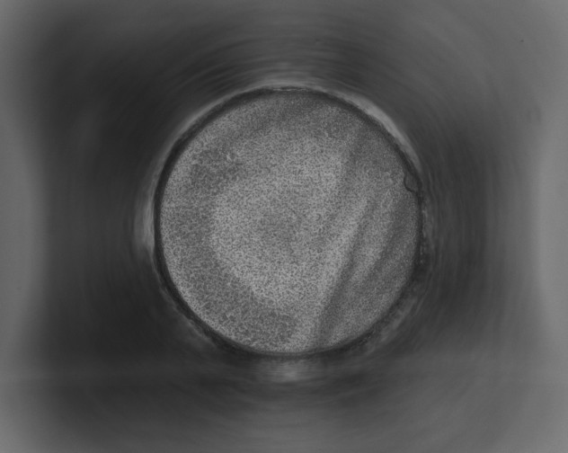 X0000100910791200807151138