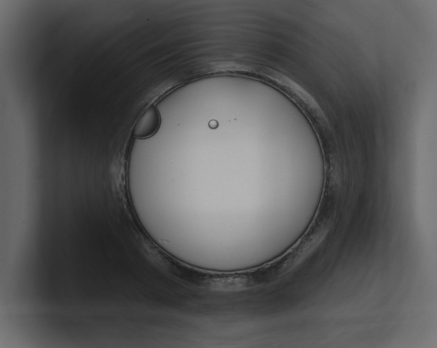 X0000100910793200807151138