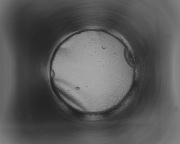 X0000100910795200807151138