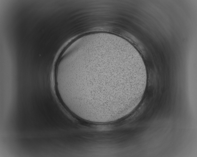 X0000100910796200807151138