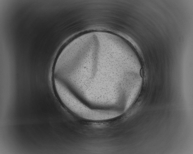 X0000100910799200807151137