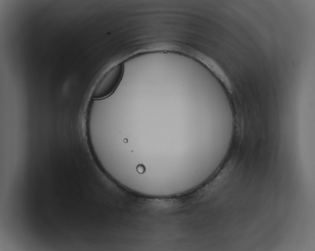 X0000100910805200807151137