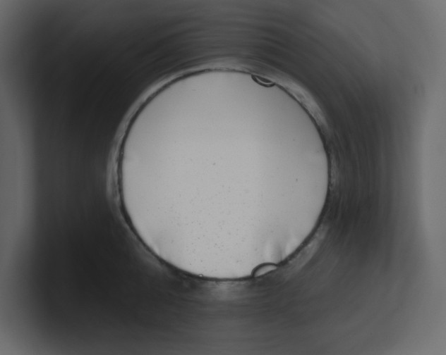 X0000100910808200807151137