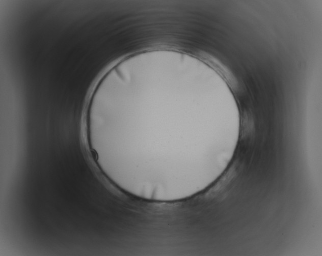 X0000100910812200807151137