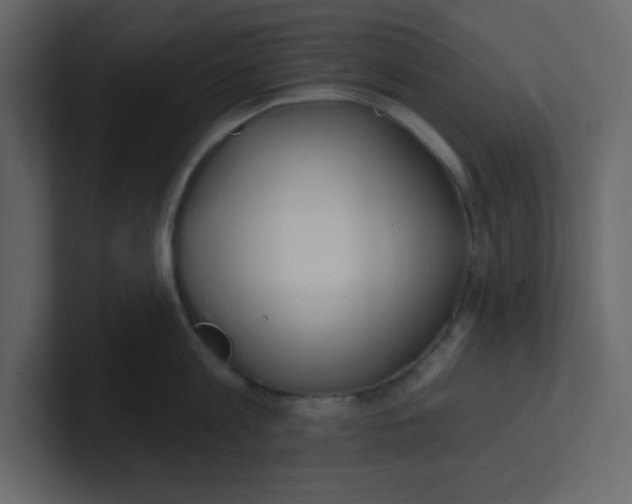 X0000100910813200807151137