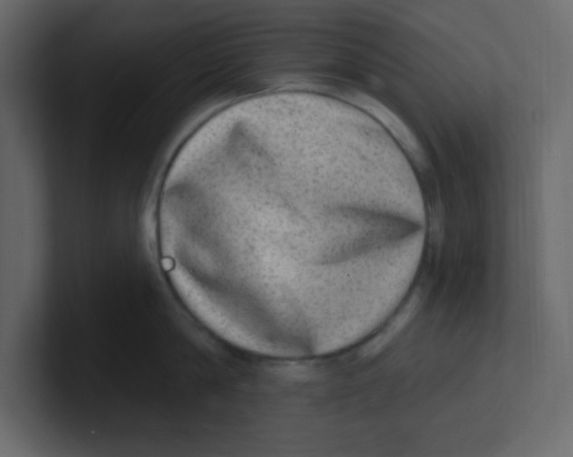 X0000100910814200807151137