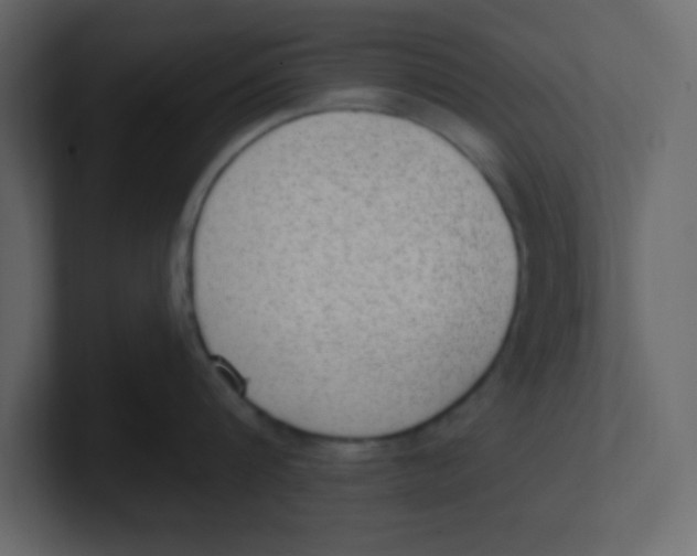 X0000100910816200807151137