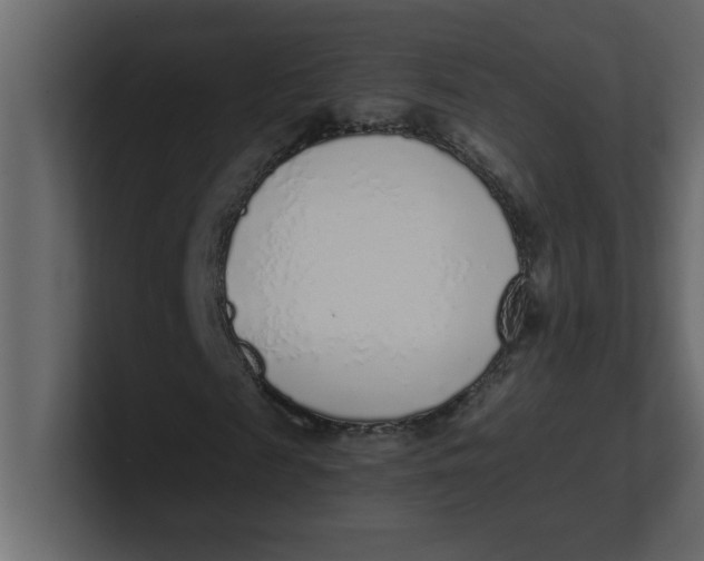 X0000100910817200807151137