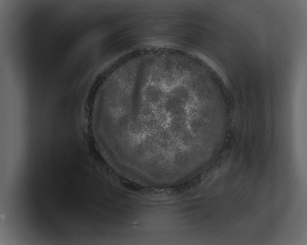 X0000100910823200807151137