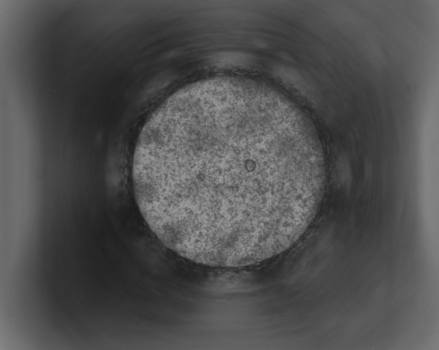 X0000100910824200807151137