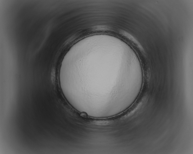 X0000100910825200807151137