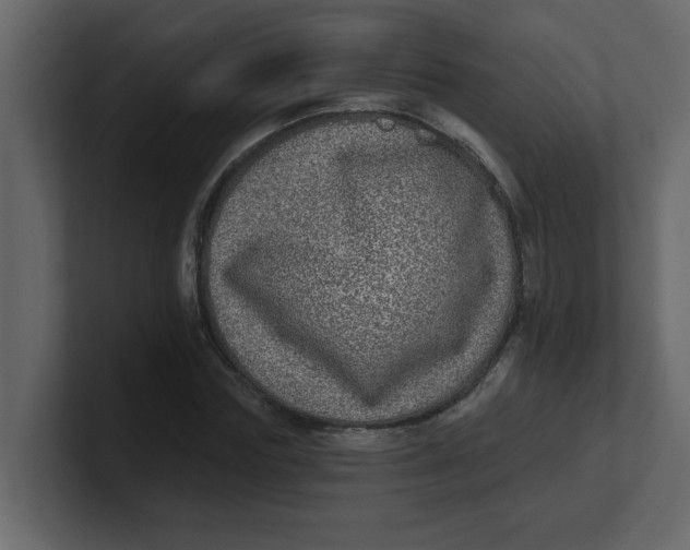 X0000100910827200807151137