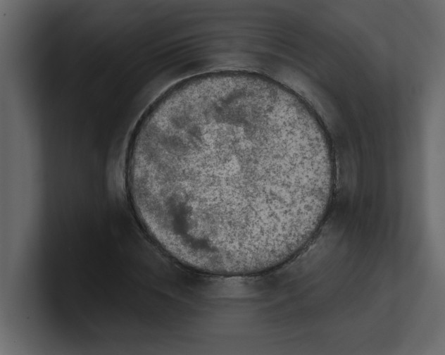 X0000100910828200807151137